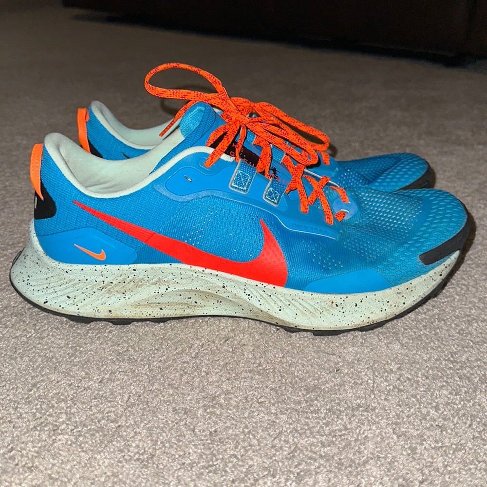 Nike Pegasus Trail Shoes